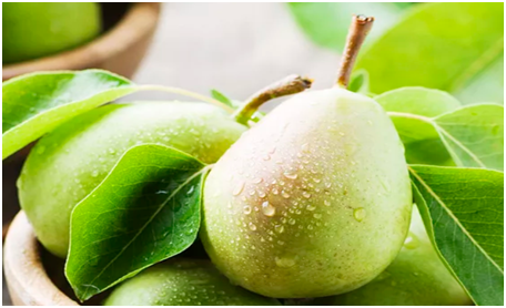 水果怎么样保鲜呢？水果保鲜有哪几种方式？