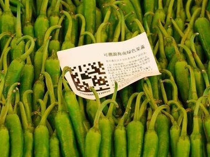 农产品的溯源系统是什么？蔬东坡的农产品溯源系统怎么样？