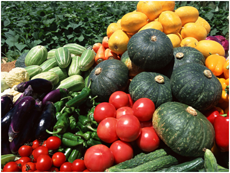 武汉生鲜超市连锁加盟品牌有哪些?各自发展现状如何?