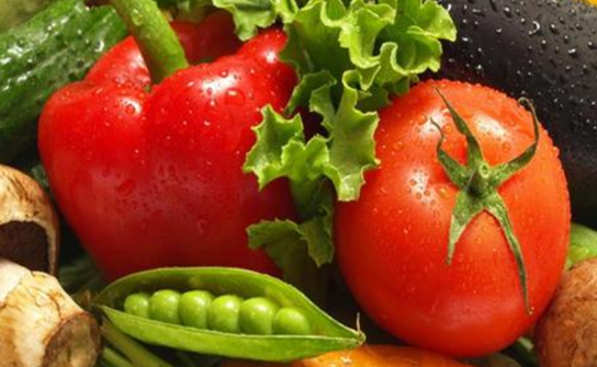 跟单位送菜需要哪些资质?这几个资质缺一不可