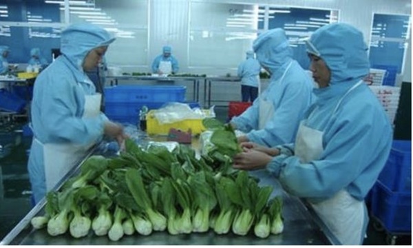 全程冷链是什么意思?全程冷链下的冷藏饮品是如何诞生的?