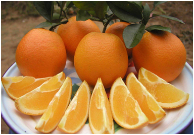 有哪些知名的农产品配送公司?农产品配送公司怎么赚钱?