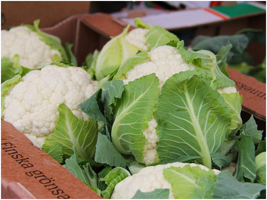 农产品配送公司行业前景怎么样？农产品配送公司如何进一步发展？