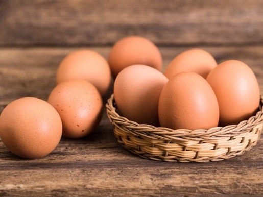 懒龙龙融资情况如何？懒龙龙为什么这么受资本青睐？