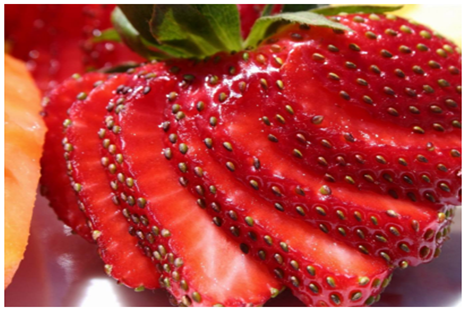 生鲜配送saas系统好用吗？市场认可度是怎样的？