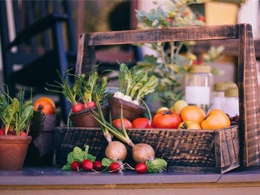 叮叮鲜食的官网怎么样？叮叮鲜食官网该怎样建设？