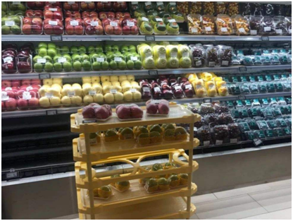 对t11生鲜超市杜勇起到了什么作用?t11生鲜超市杜勇的经营理念是什么?