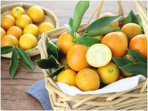 农科院采购平台是什么？农科院采购平台发展得怎么样？