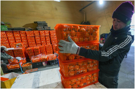 农副产品管理软件是什么?需要具备哪些功能?