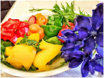 活鲜快运专用车需要安装什么设备? 运输中需要注意哪些事项?