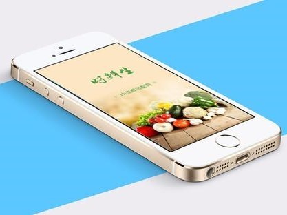 网上买菜怎么买？网上买菜需要注意哪些方面？