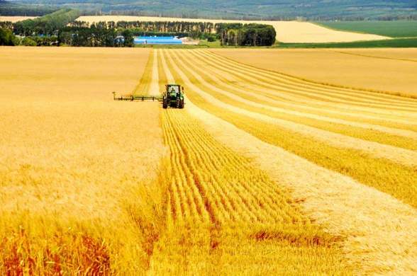 北京生鲜配送公司排名，北京生鲜配送领域都有哪些代表企业？