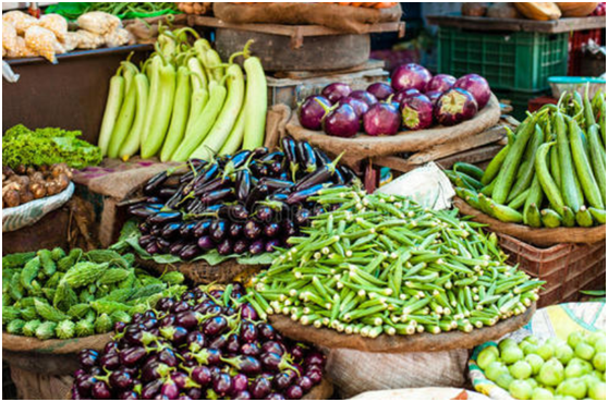 在哪里发布蔬菜采购信息？发布蔬菜采购信息需要注意什么？