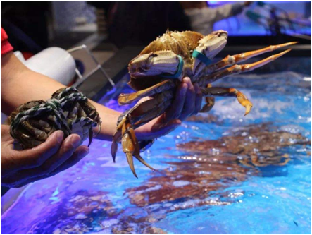 梧州水产海鲜批发市场有哪些?分别位于什么位置?