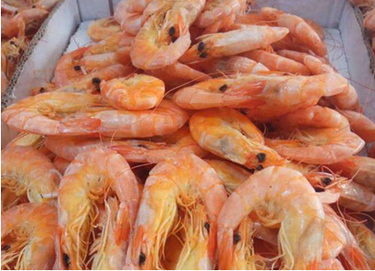 开个水产店怎么进货？进货渠道有哪些？