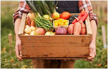 中国十大生鲜超市知名度最高的是哪几个?各自发展如何?