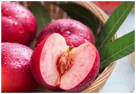 九曳鲜配主要经营项目是什么?市场评价如何?