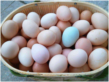 懒龙龙网上商城怎么样？在懒龙龙网上商城买东西靠谱吗？