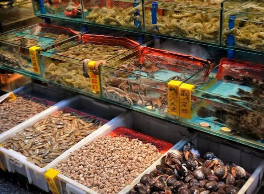 茂名活鲜运输公司有哪些?在茂名怎样选择活鲜运输公司?