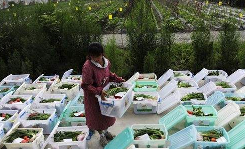 生鲜蔬菜配送有什么流程？与其他配送模式有什么区别？