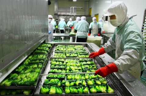 怀化生鲜配送面临哪些下单问题？如何解决呢？