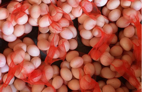 疫情之下怎样打开鸡蛋销售市场，这个选择你不能错过