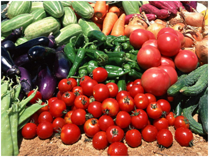 生鲜配送saas系统是什么？生鲜配送saas优势有哪些？