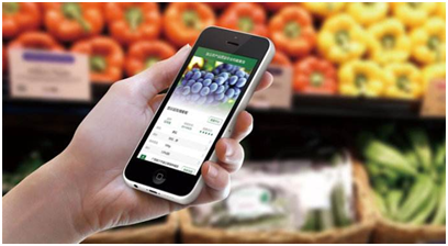 蔬菜采购系统有哪些优势?蔬菜采购系统发展现状怎样