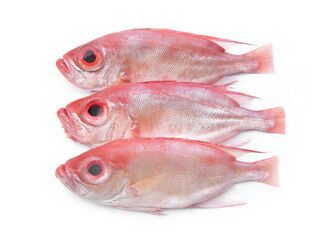 半成品火锅送货上门，怎样从消费者角度来寻找突破？