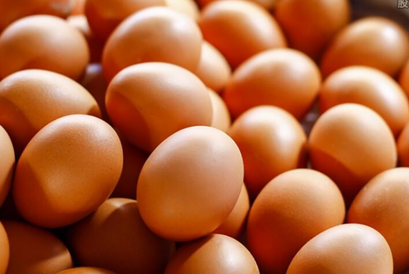 做杭州同城鸡蛋配送有什么注意事项？做杭州同城鸡蛋配送有前景吗？