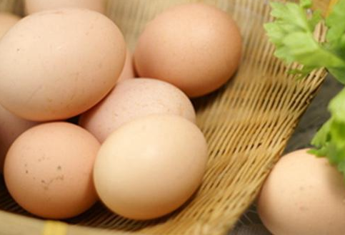 批发鸡蛋一箱赚多少钱？影响批发鸡蛋赚钱的因素有哪些？