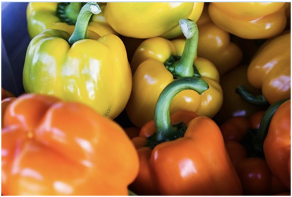 懒龙龙app怎么样？懒龙龙app有哪些实用功能？