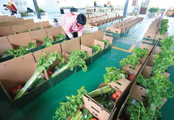 怎样打造优质的生鲜配送服务?生鲜配送服务的工作流程是什么?