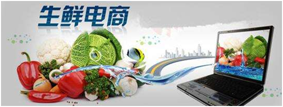 生鲜产品营销方案策划必须包含哪五个方面？