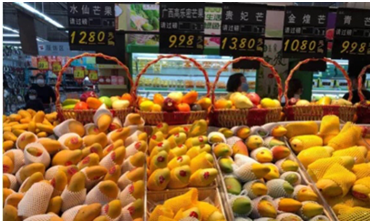 回农村种菜卖赚钱吗?需从多方面因素考虑