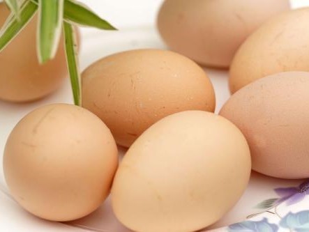 懒龙龙运营模式是什么样的？懒龙龙是如何靠卖蛋实现年收入过亿的？