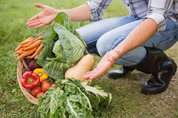 怎么给生鲜平台供货？做好哪些方面获得生鲜平台青睐？