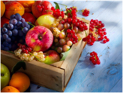 北京叮叮鲜食靠谱吗?北京叮叮鲜食发展前景如何?