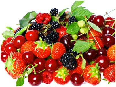 水果蔬菜配送方案作用是什么？水果蔬菜配送方案核心内容有哪些？