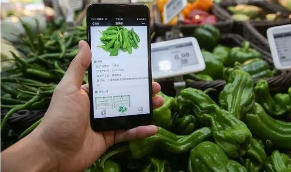 生鲜电商模式有哪些？各自有哪些优势？