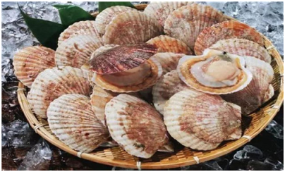 活海鲜水产店加盟排行榜前三是哪些品牌?经营现状怎么样?