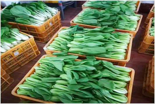 生鲜配送管理系统是什么？使用生鲜配送管理系统有什么优势？