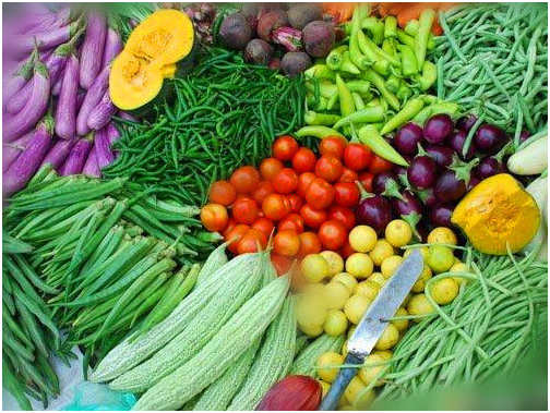 关于蔬菜配送，你的了解有多少呢？