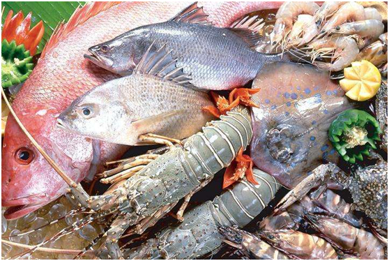 一手海鲜进货渠道有哪些？都有什么特点？