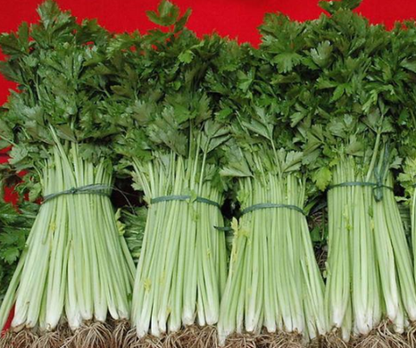 种植蔬菜有什么销售渠道?这几种渠道不可不知