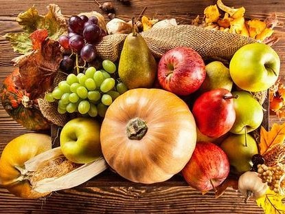 蔬菜配送方案书要怎么写？一份完整的蔬菜配送方案书包括哪些方面？