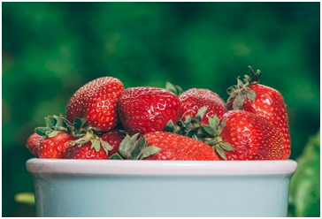 水果采购软件有哪些？各有哪些特点？