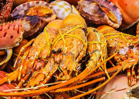 粉象生活生鲜怎么样?几点看清粉象生活生鲜好不好