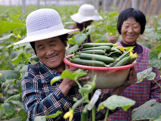 现在农村种植什么最赚钱？为什么种植这些赚钱？