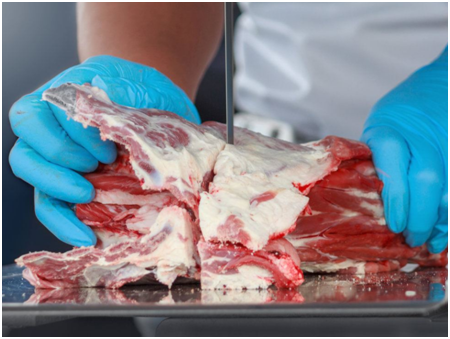 北京叮叮鲜食app怎么样?北京叮叮鲜食app有哪些实用功能?